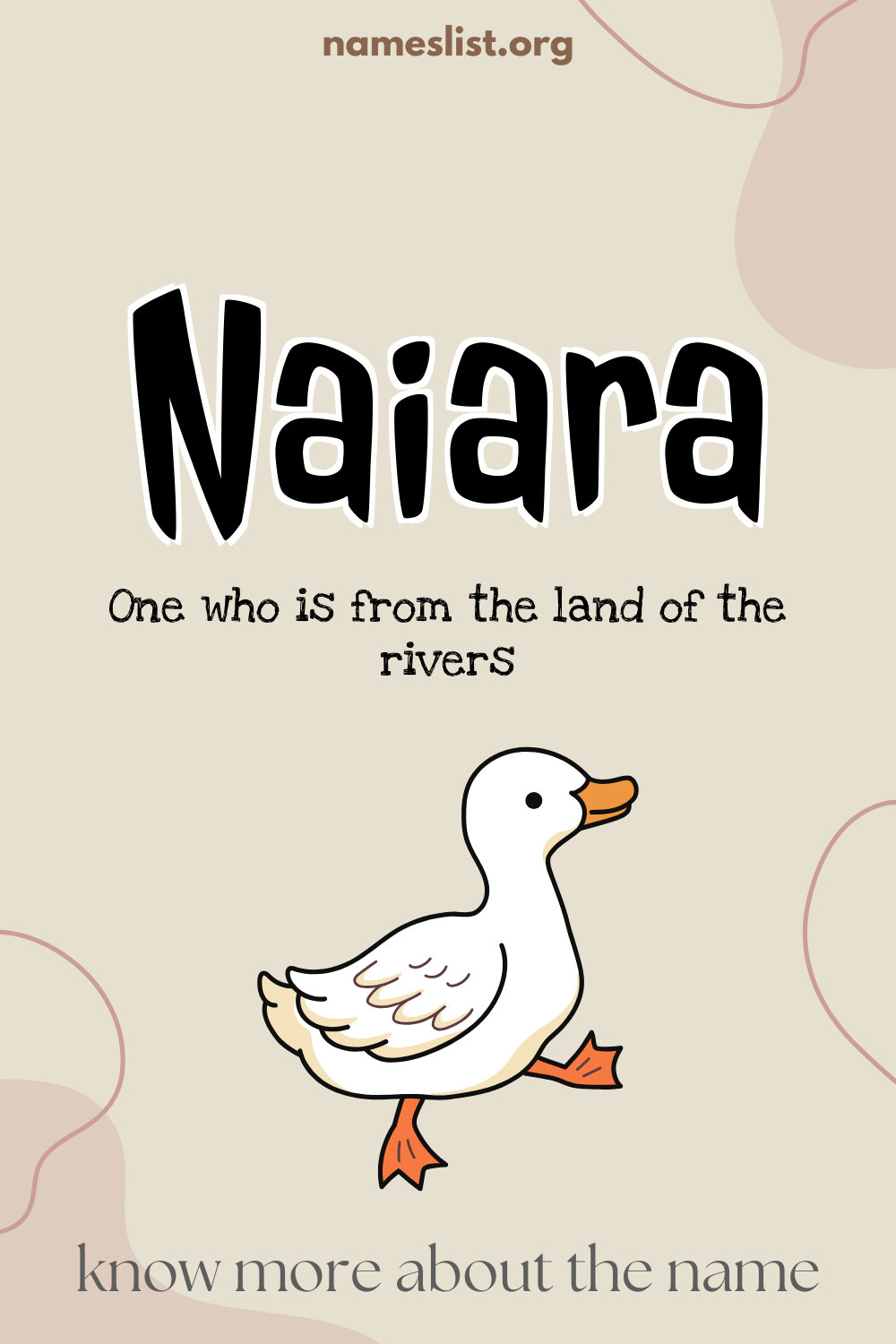 Naiara meaning and origin