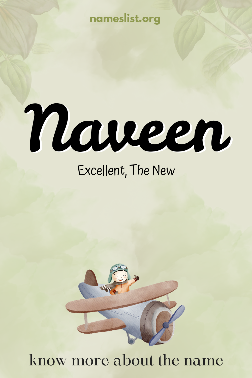 Naveen meaning and origin
