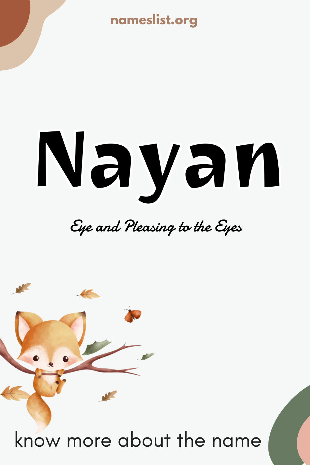 Nayan meaning and origin