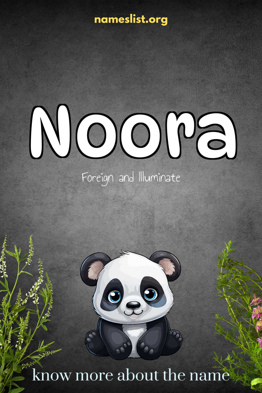 Noora meaning and origin