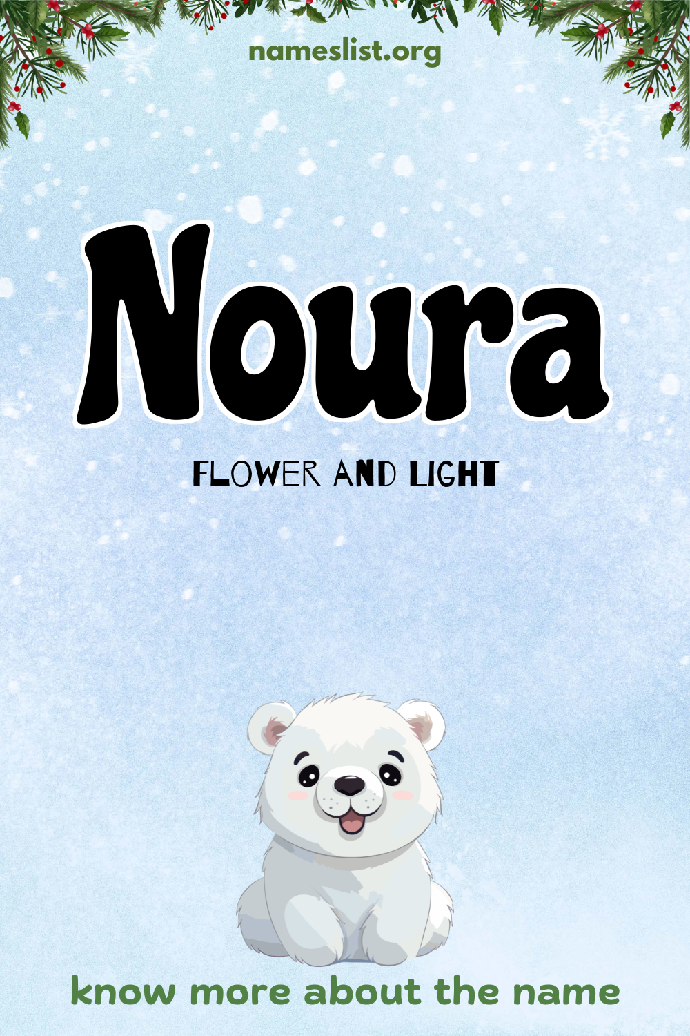 Noura meaning and origin