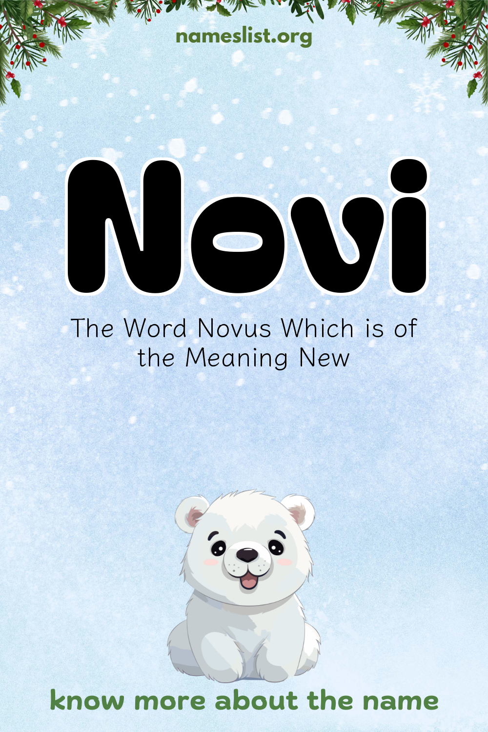 Novi meaning and origin