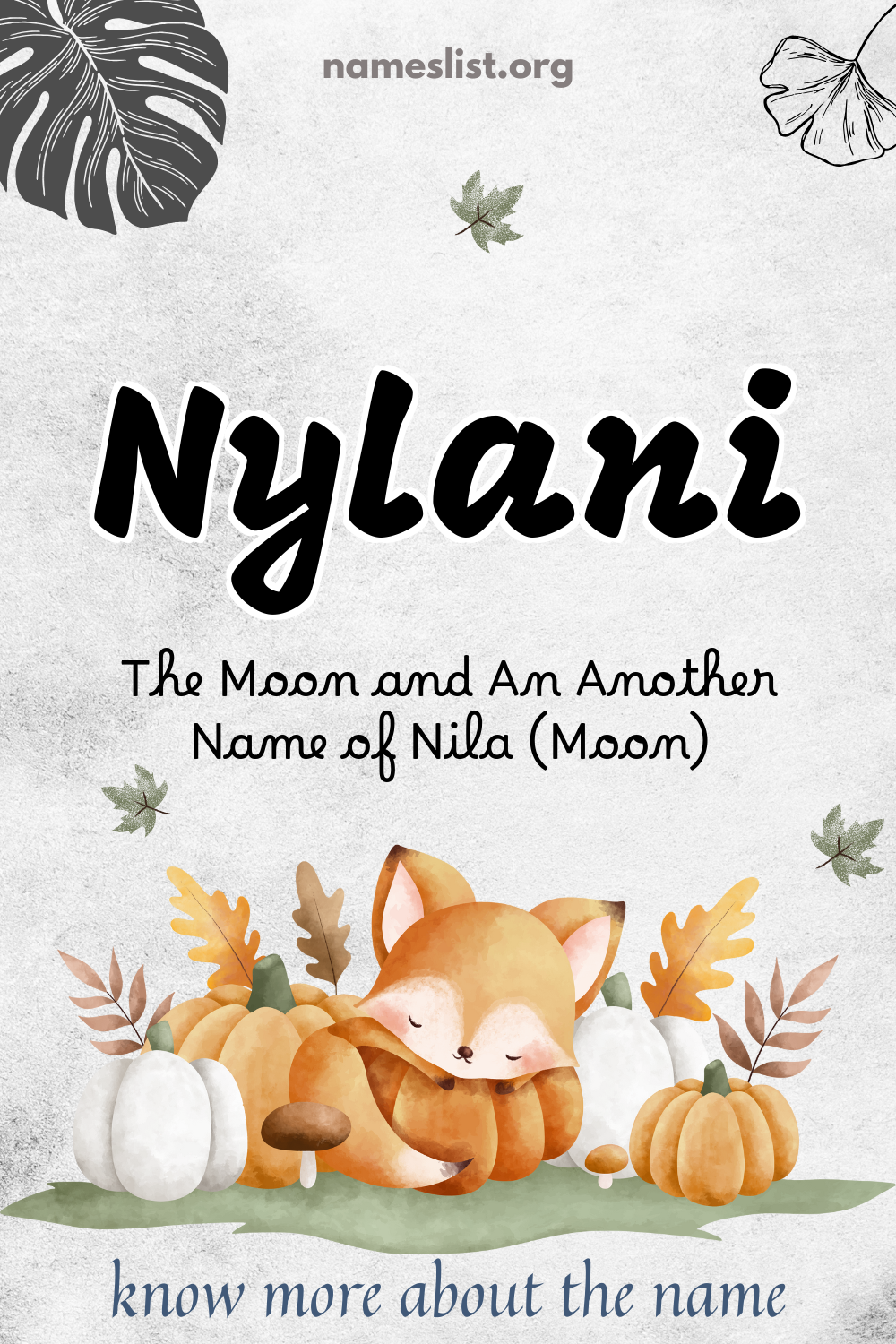 Nylani meaning and origin