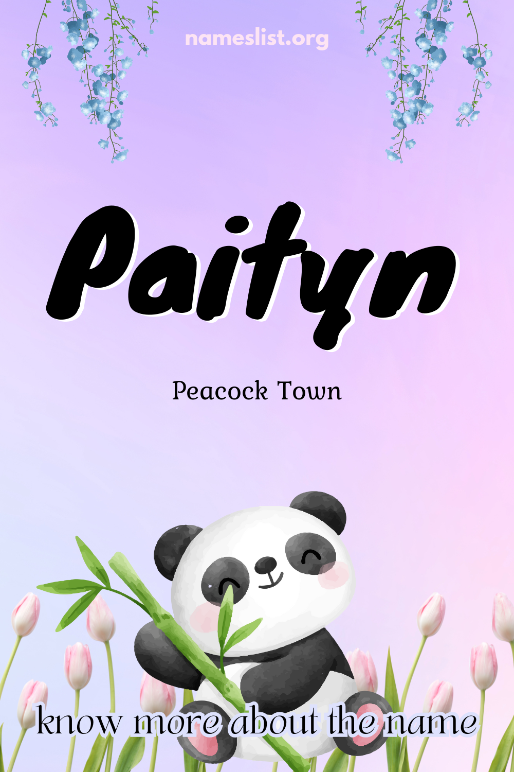 Paityn meaning and origin