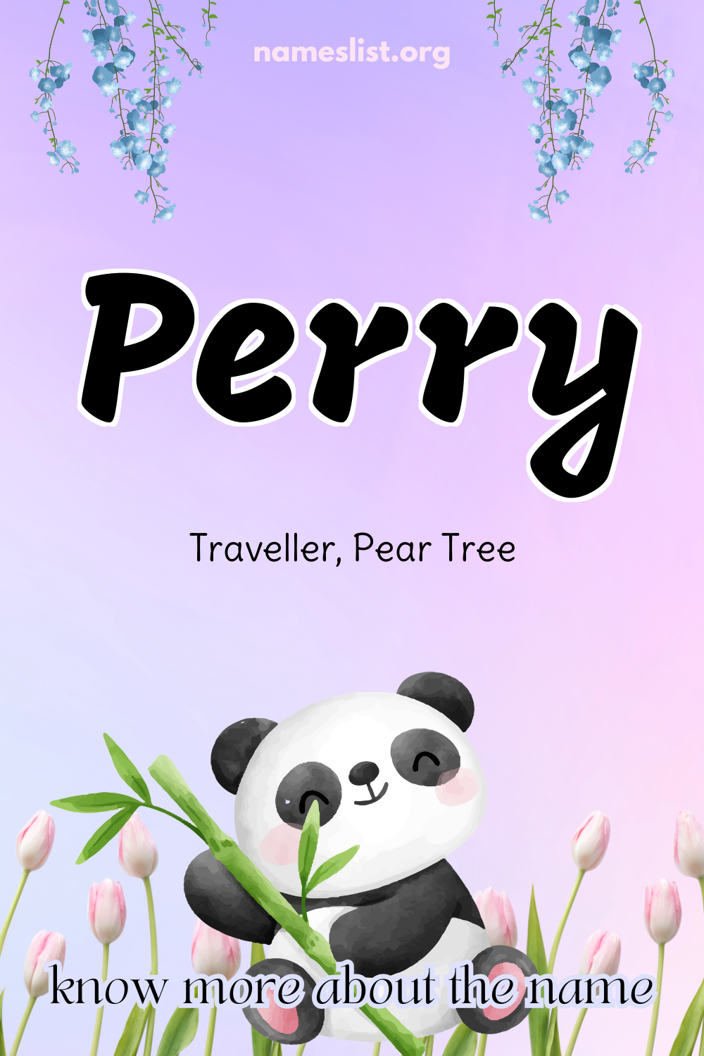 Perry meaning and origin