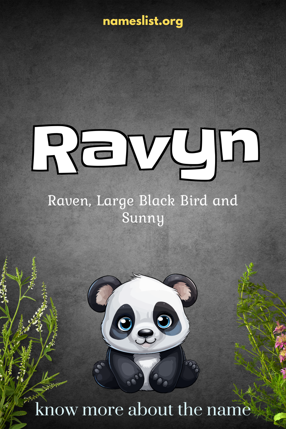 Ravyn meaning and origin