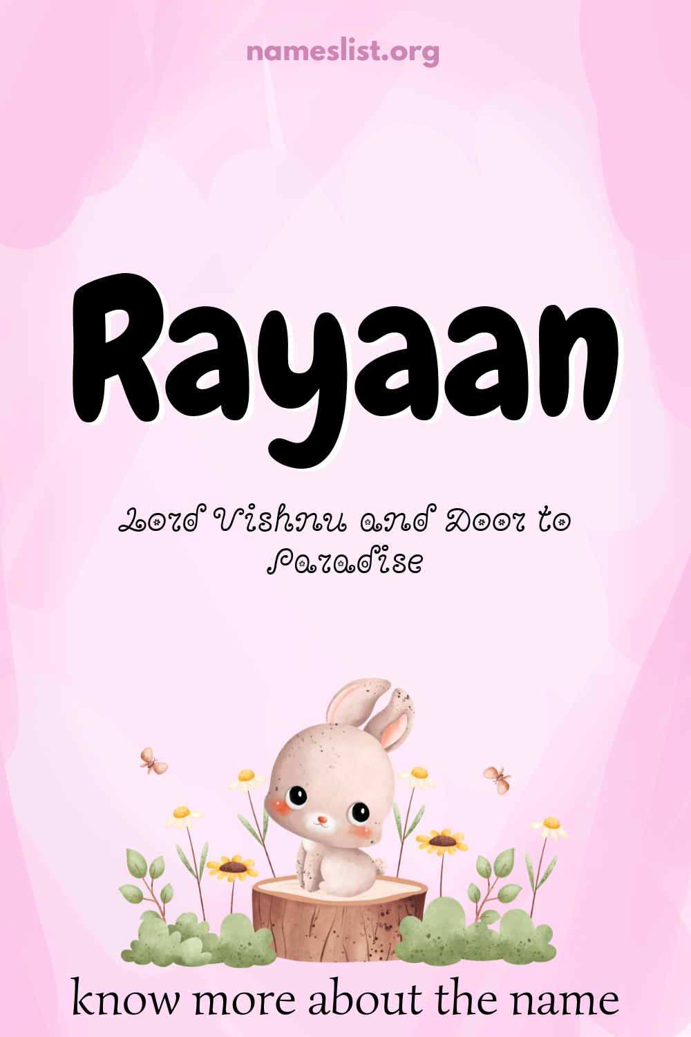 Rayaan meaning and origin