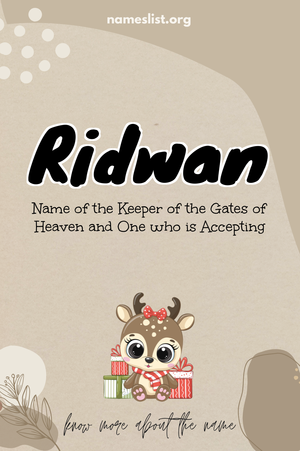 Ridwan meaning and origin