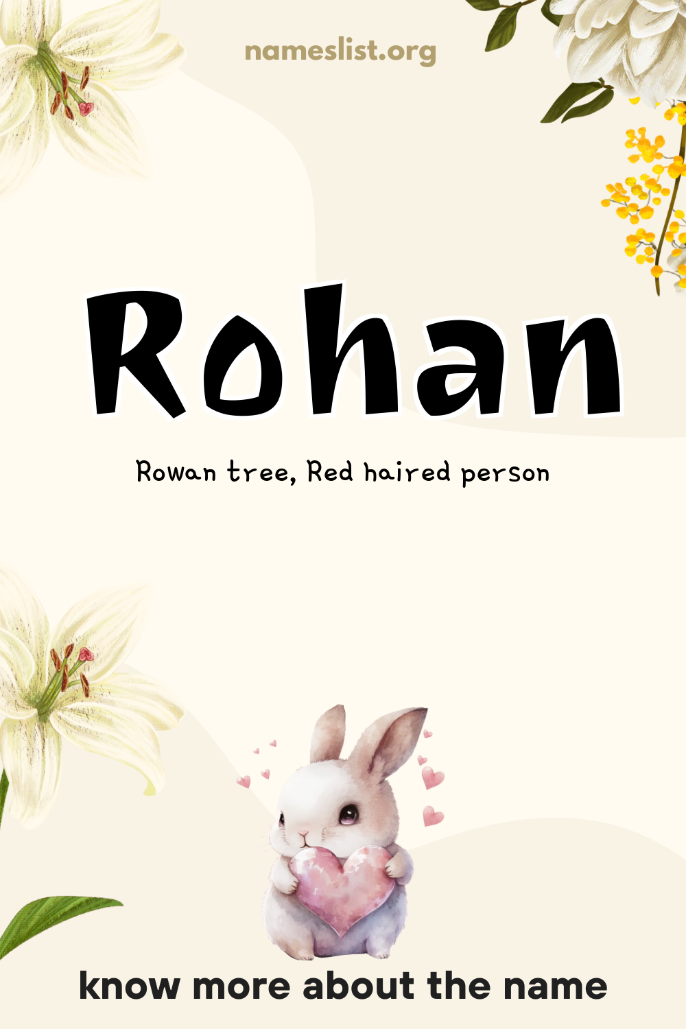 Rohan meaning and origin