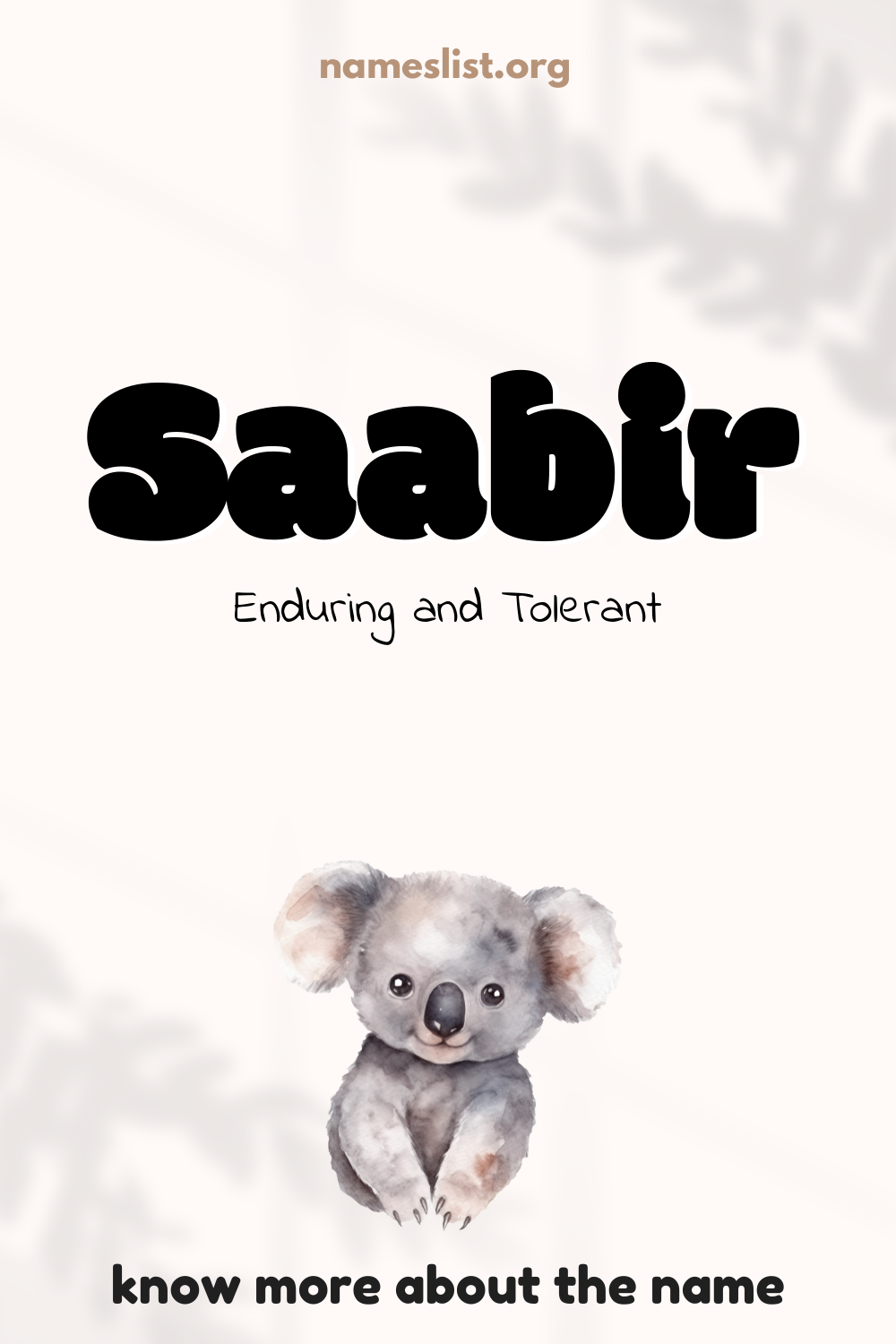 Saabir meaning and origin