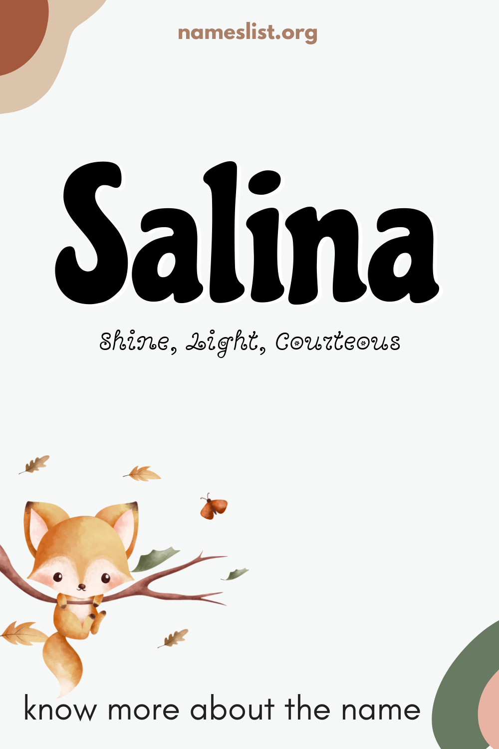 Salina meaning and origin