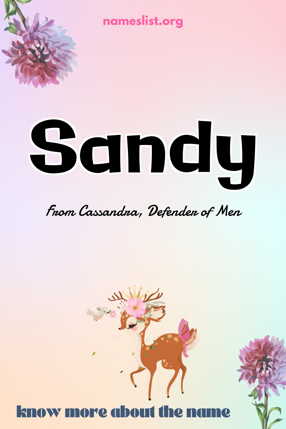 Sandy meaning and origin