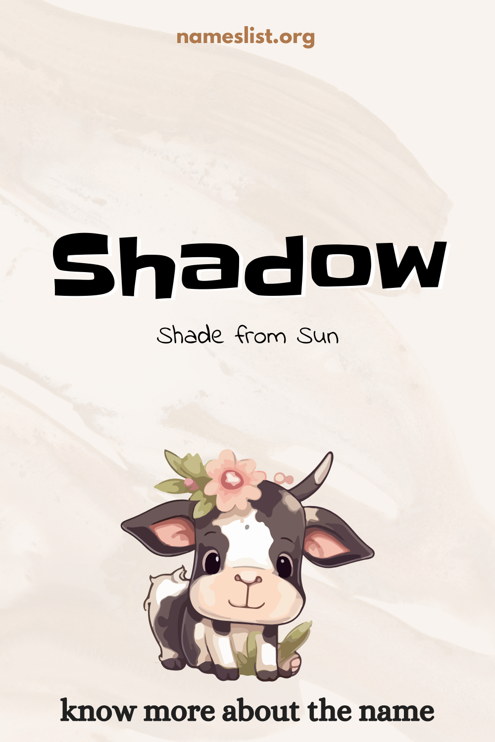 Shadow meaning and origin