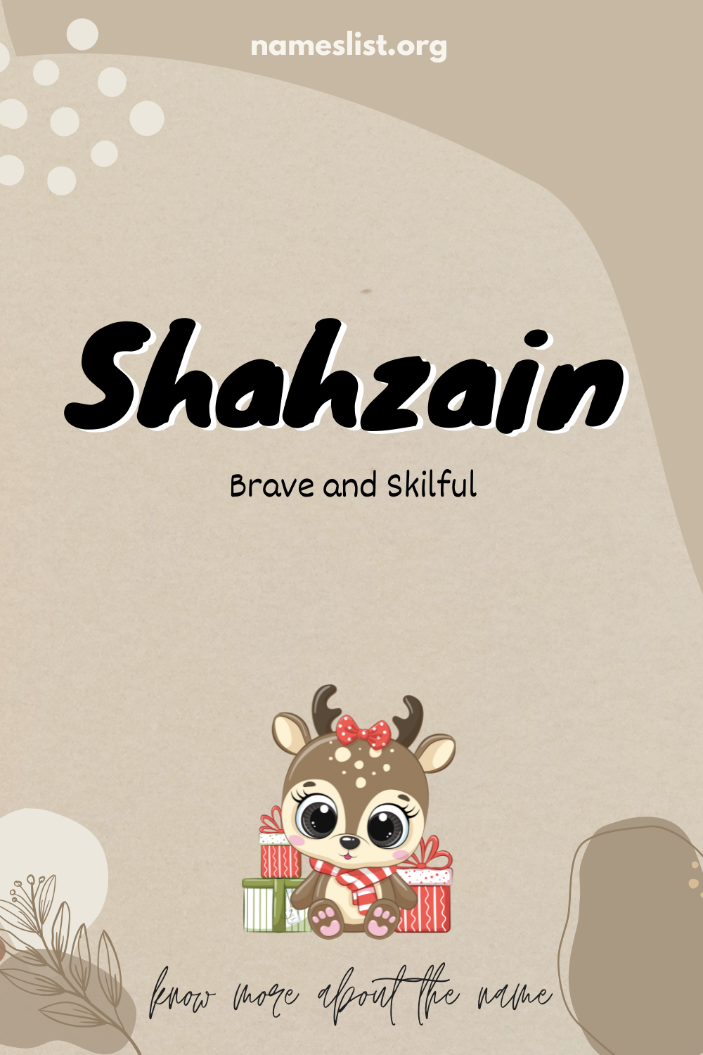 Shahzain meaning and origin