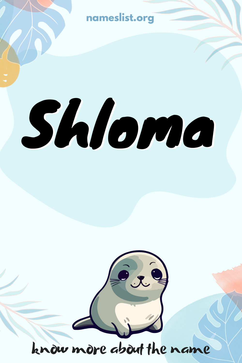 Shloma meaning and origin