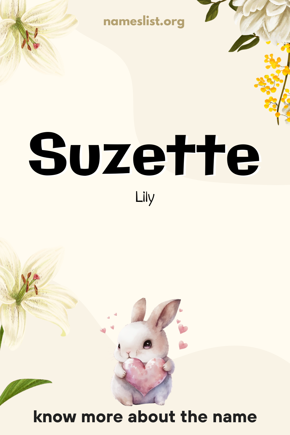 Suzette meaning and origin