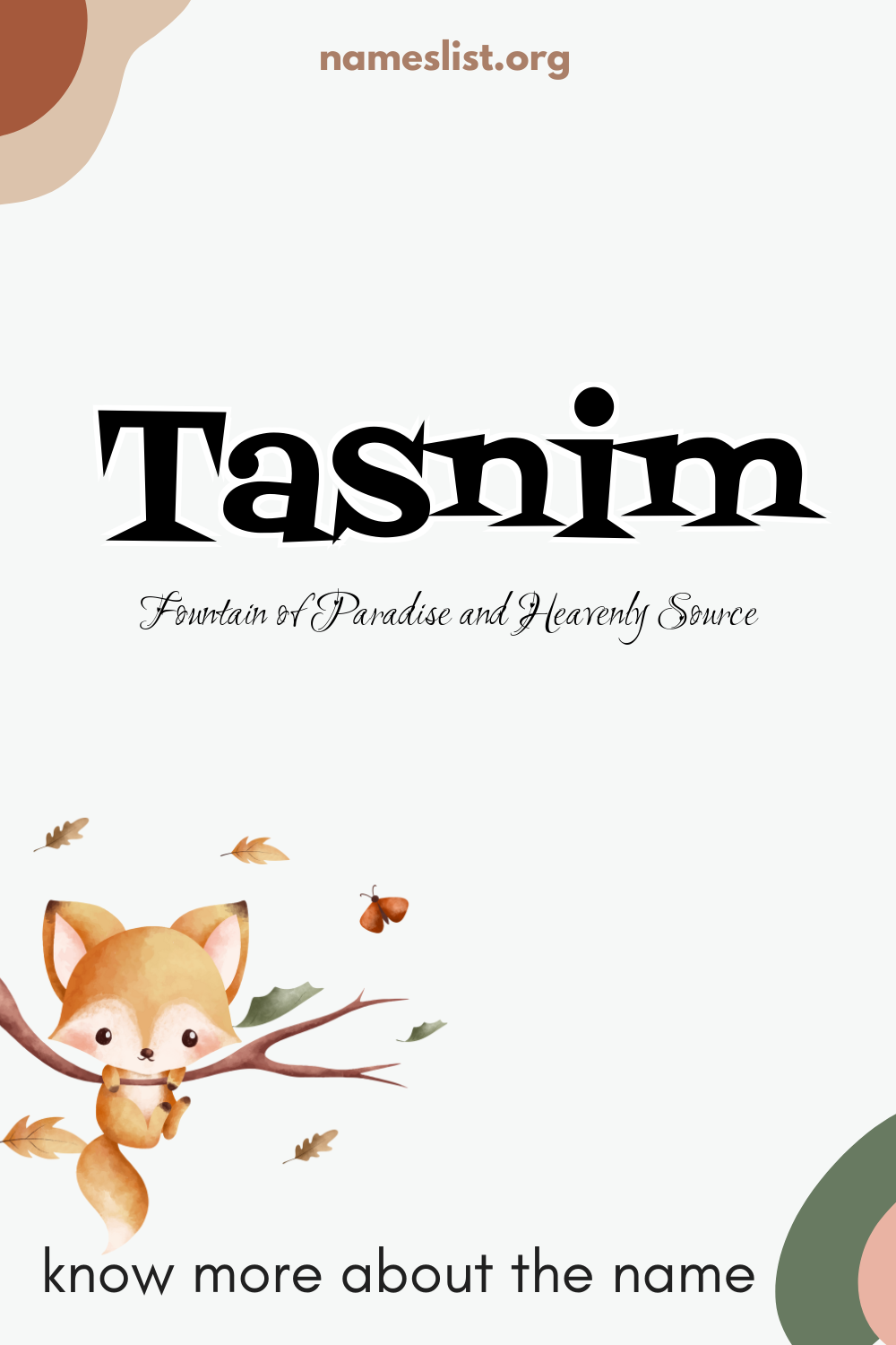 Tasnim meaning and origin