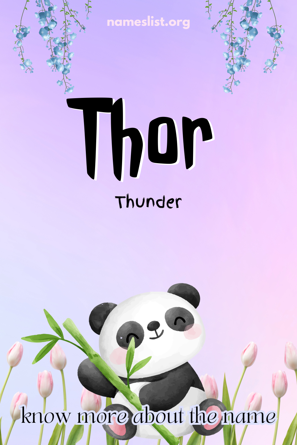 Thor meaning and origin