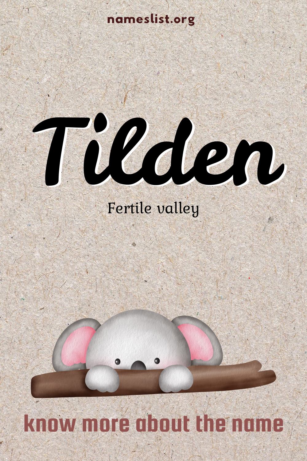 Tilden meaning and origin