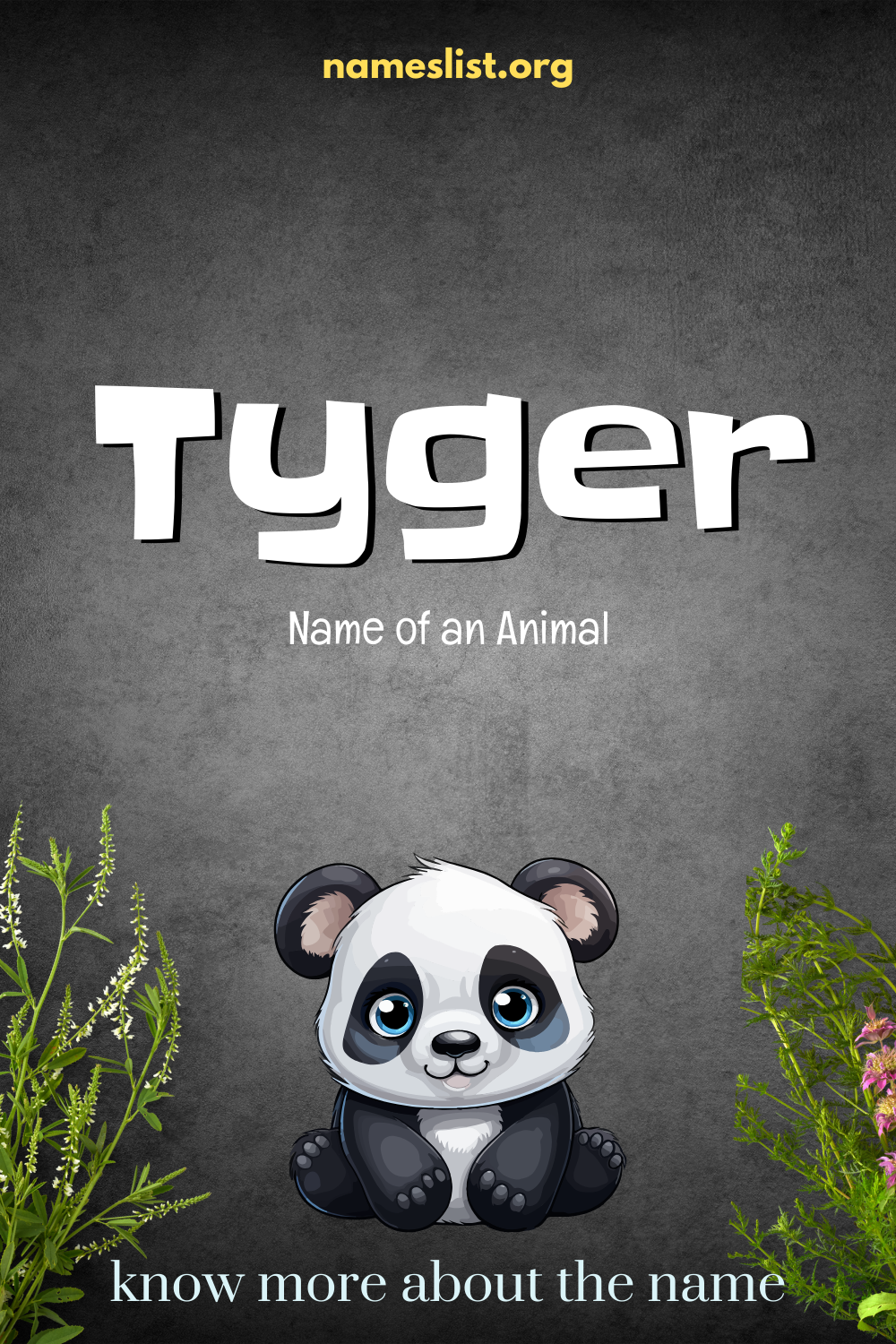 Tyger meaning and origin