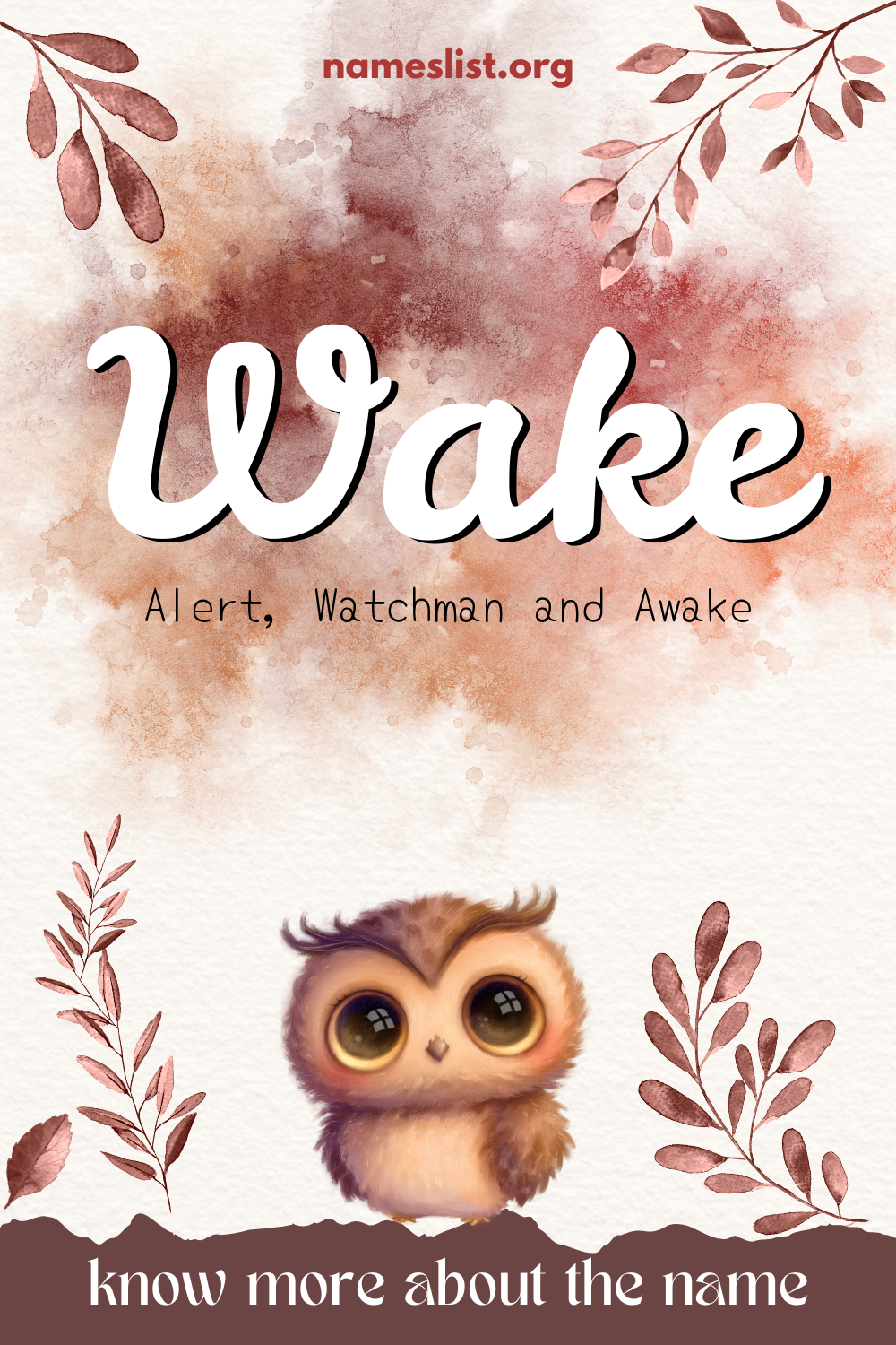 Wake meaning and origin