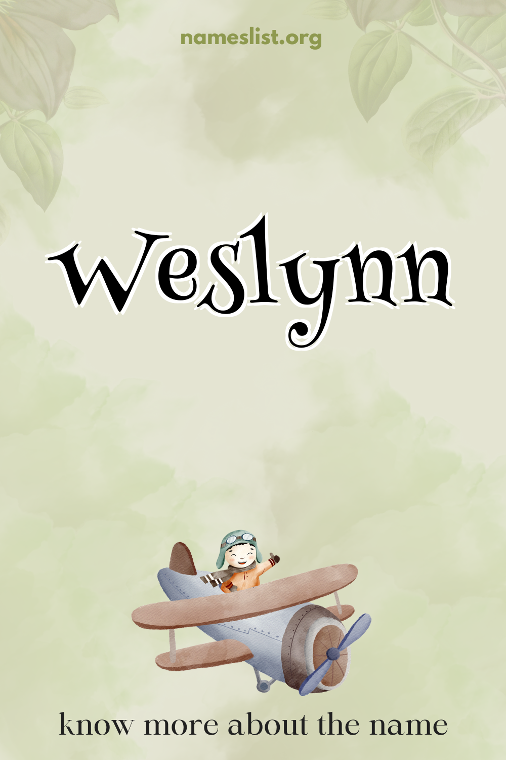 Weslynn meaning and origin