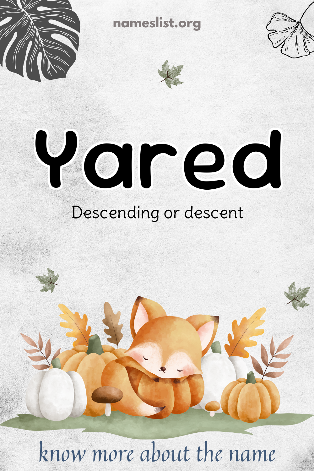 Yared meaning and origin