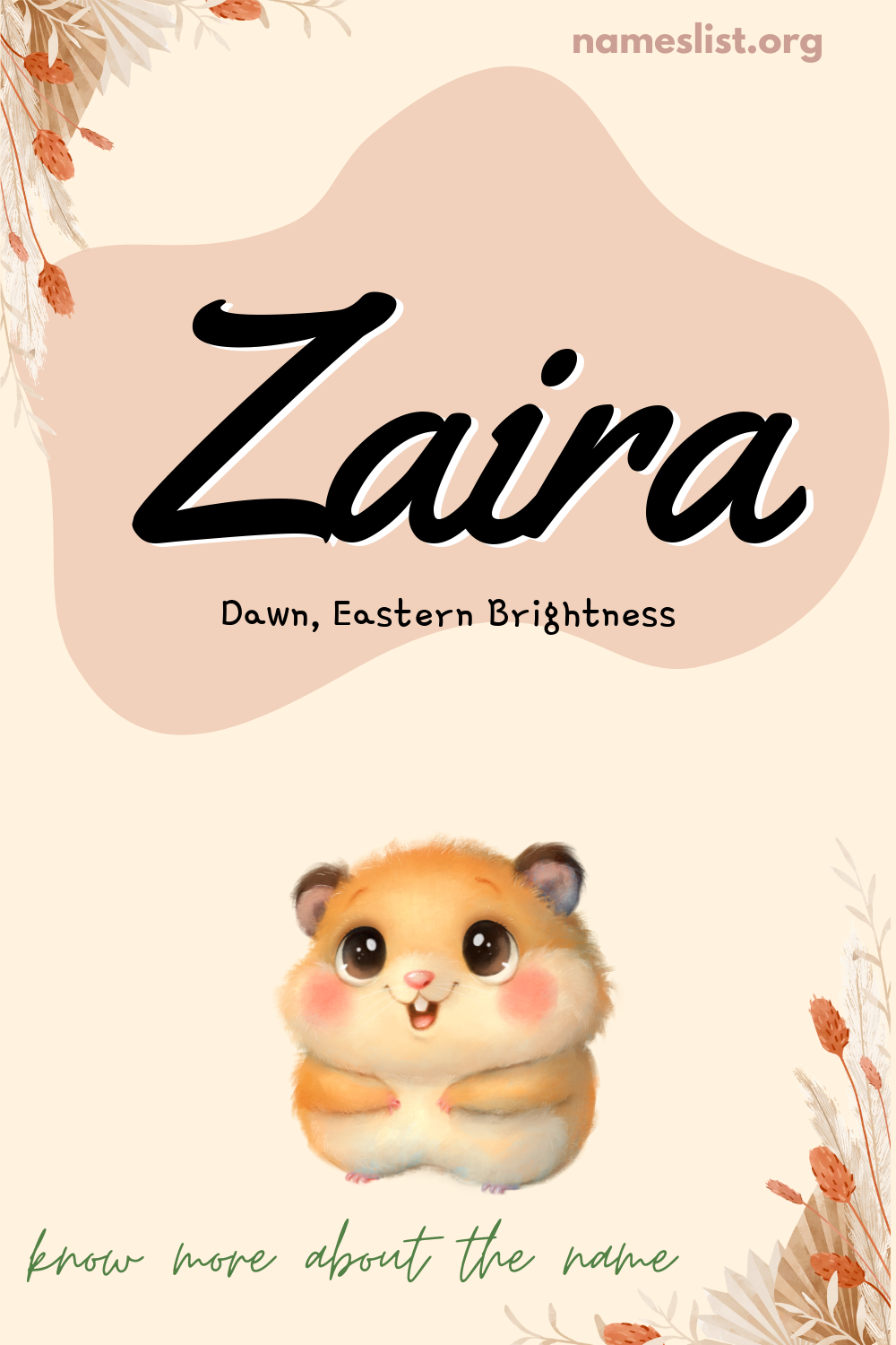 Zaira meaning and origin