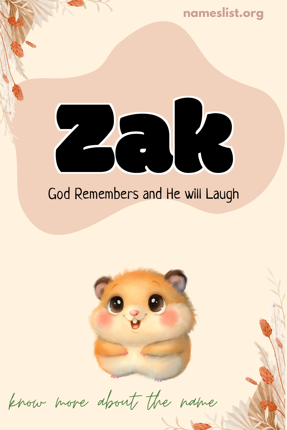 Zak meaning and origin
