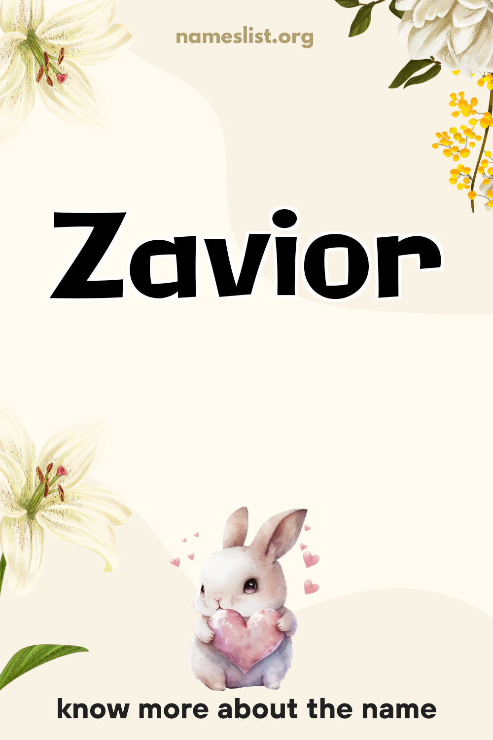 Zavior meaning and origin