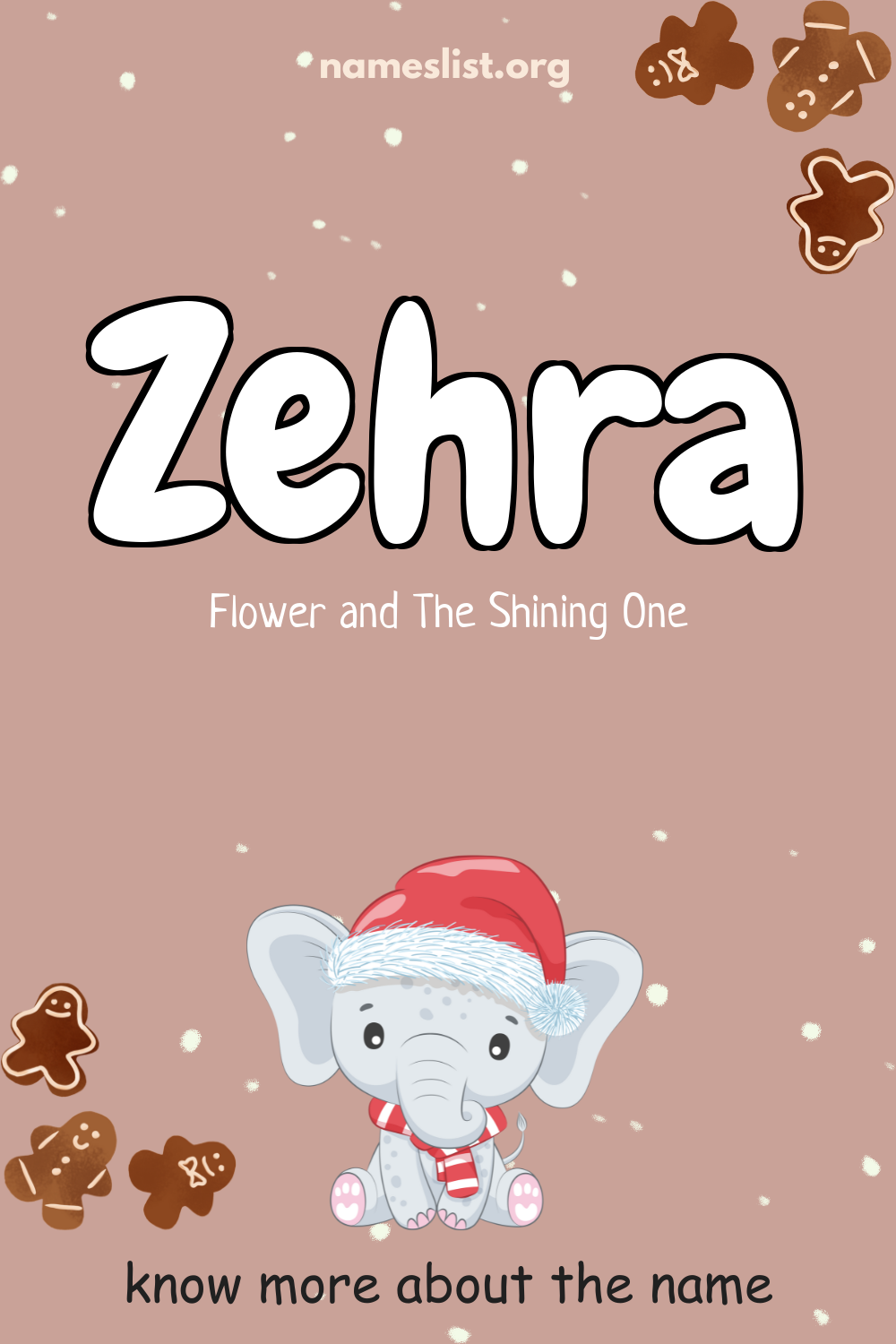 Zehra meaning and origin