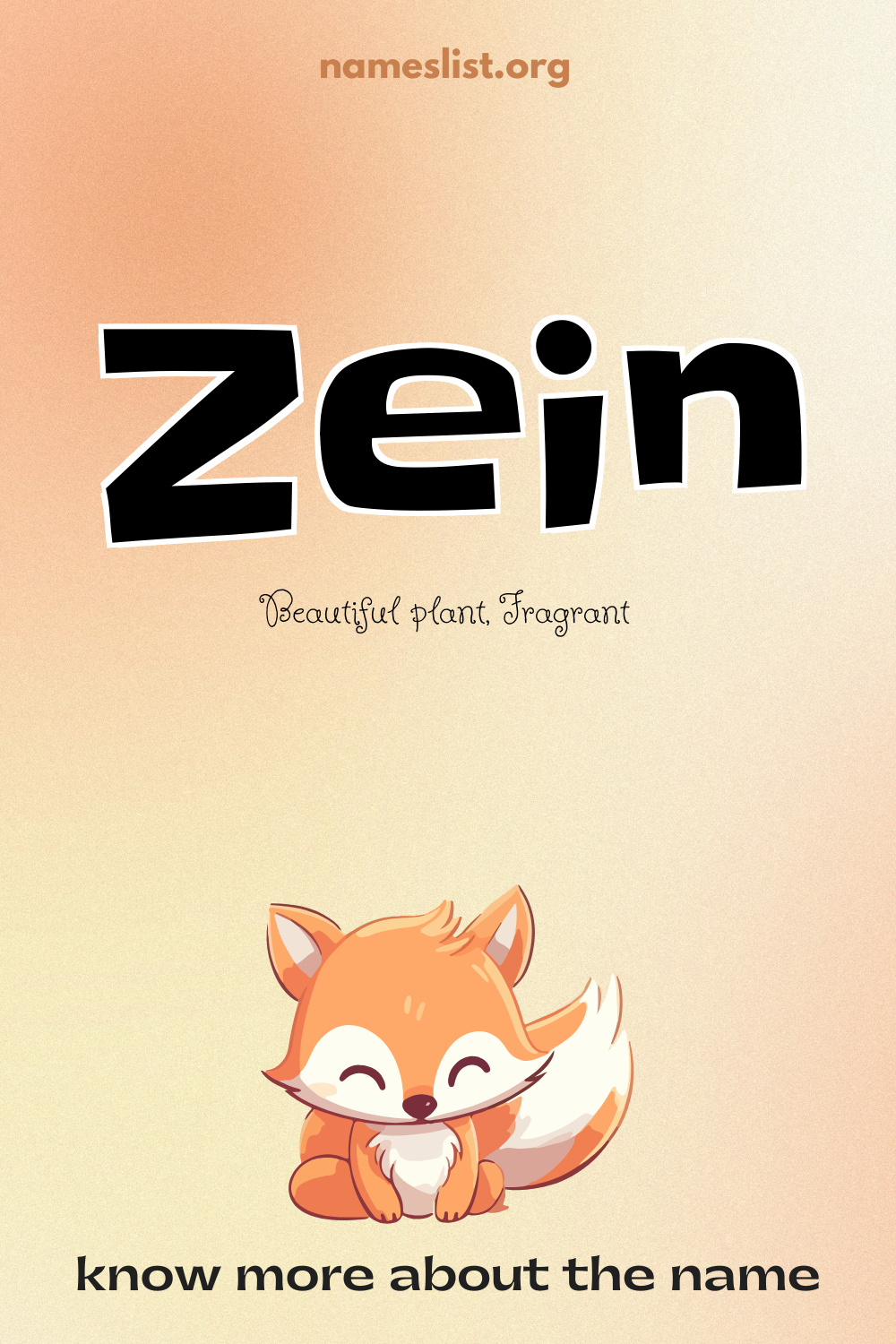 Zein meaning and origin