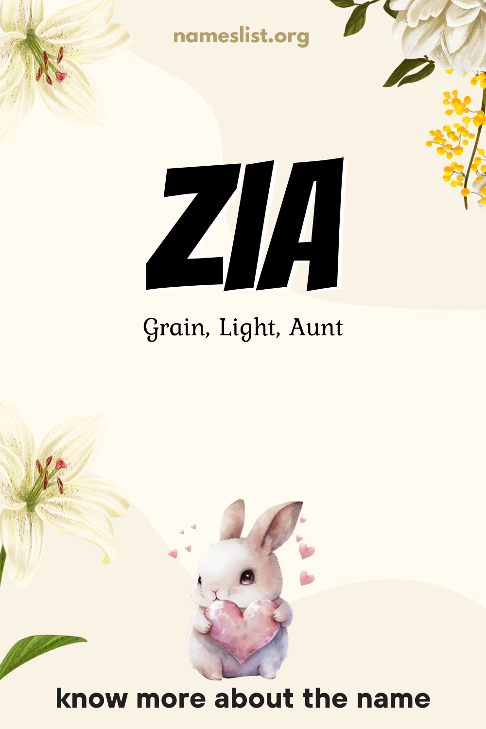 Zia meaning and origin