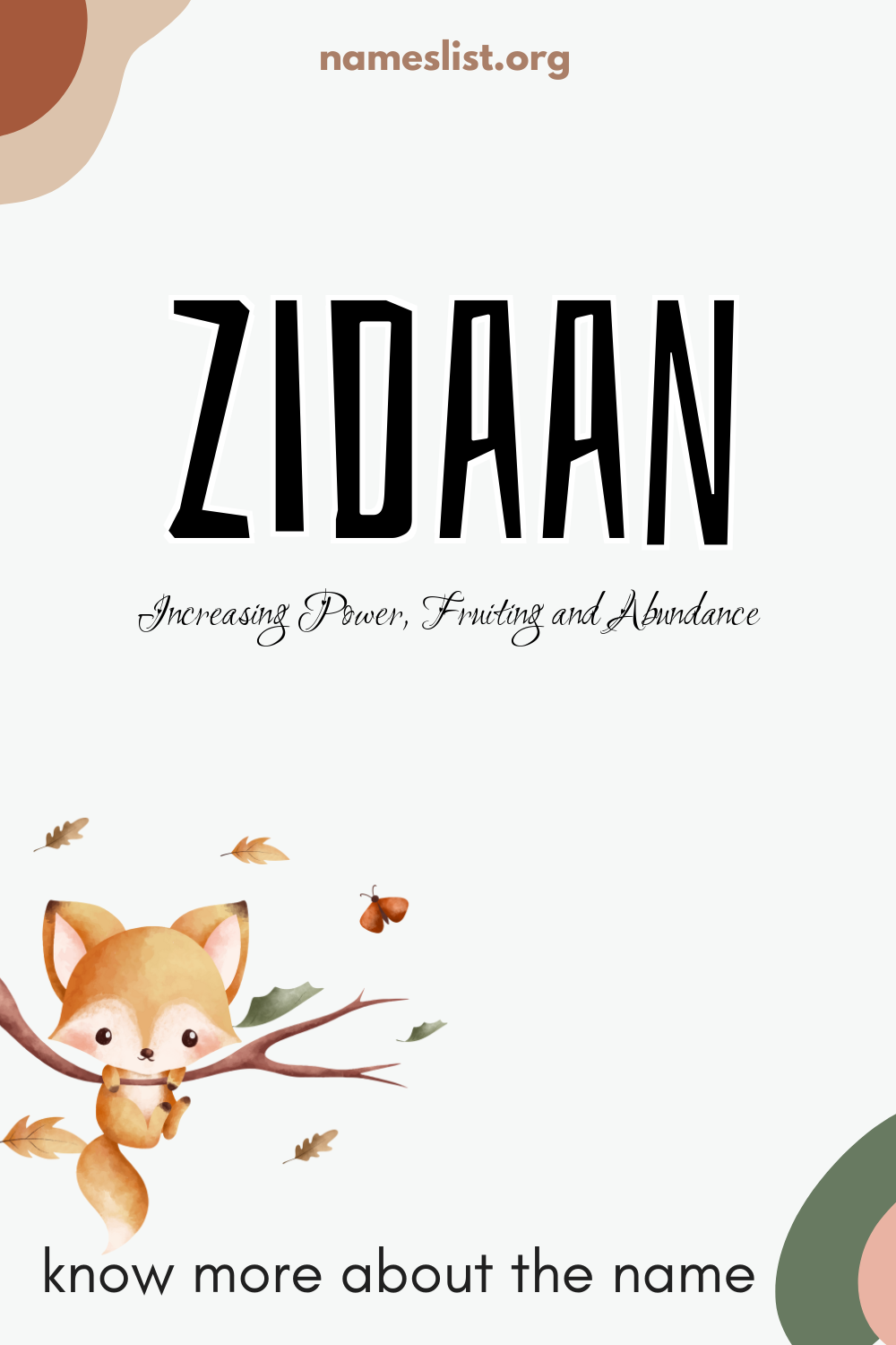 Zidaan meaning and origin